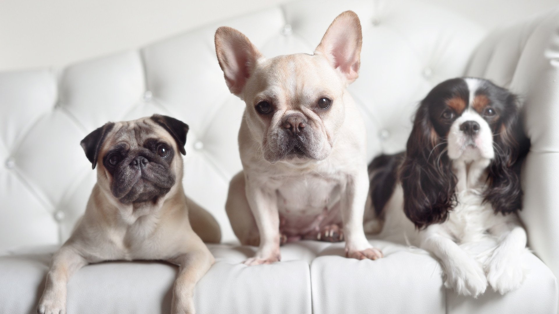 世俱杯足球-国际沙滩排球争霸赛，阳光沙滩里的激情角逐，沙滩排球大赛